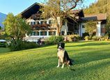 Urlaub mit Hund im Naturhotel Schütterbad
