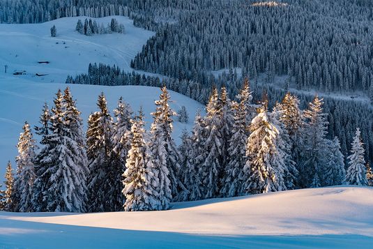 Almenwelt am Lofer im Winter,© Salzburger-Saalachtal-Tourismus