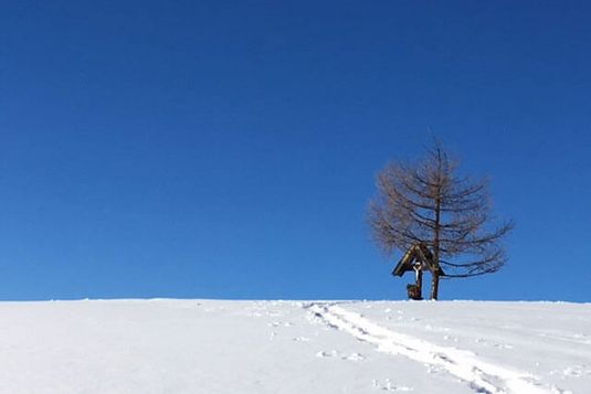 Spuren im Schnee