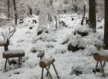 Winterliche Holztiere