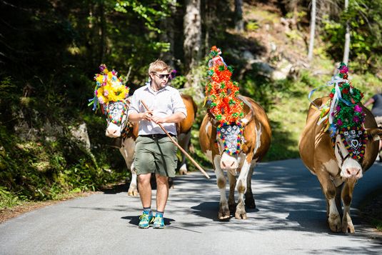 Almabtrieb Saalachtal