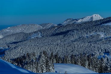 Winter im Saalachtal