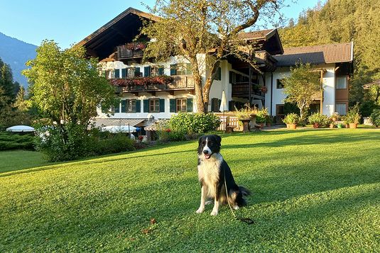 Urlaub mit Hund im Naturhotel Schütterbad