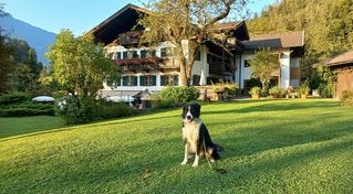 Urlaub mit Hund im Naturhotel Schütterbad